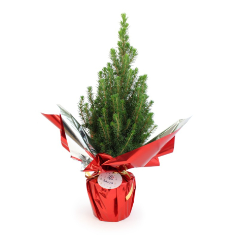 Sapin de Noël publicitaire