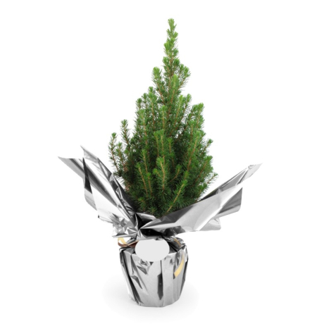 Sapin de Noël publicitaire