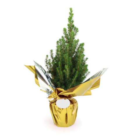 Sapin de Noël publicitaire