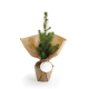 Sapin de Noël publicitaire