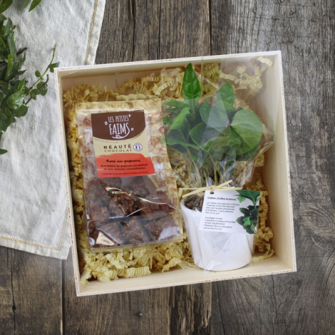 Coffret Caféier publicitaire