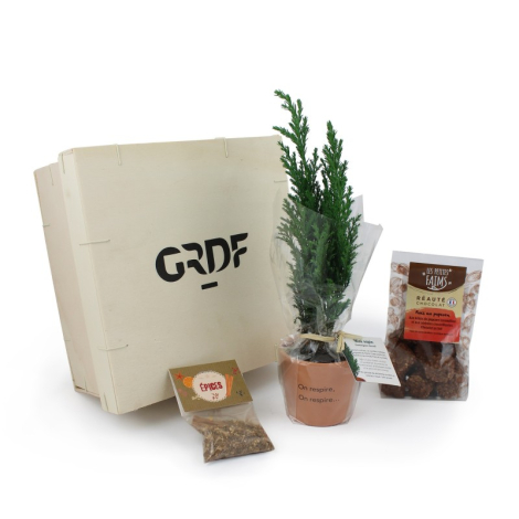 Coffret publicitaire avec chocolat et sapin de Noël