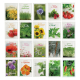 Sachet de graines 6x8 cm standard