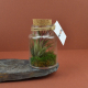 Terrarium en bouteille publicitaire