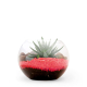 Terrarium publicitaire