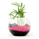 Terrarium publicitaire