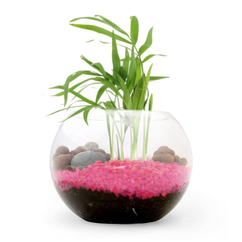 Terrarium publicitaire
