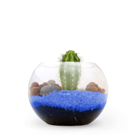 Terrarium publicitaire