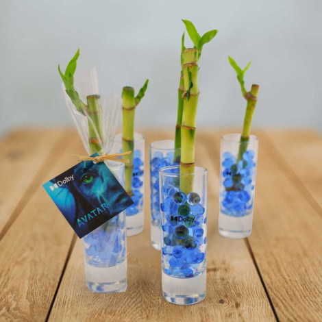 Canne chinoise en vase à personnaliser
