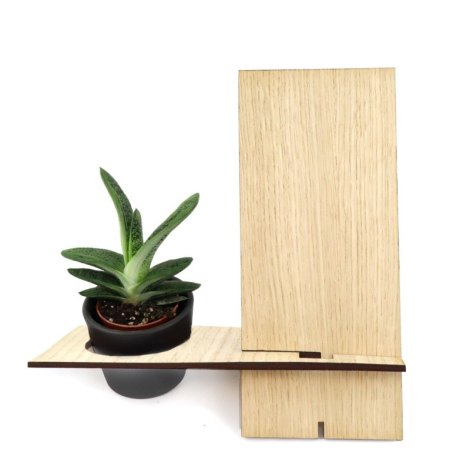 Support téléphone en bois personnalisable avec plante