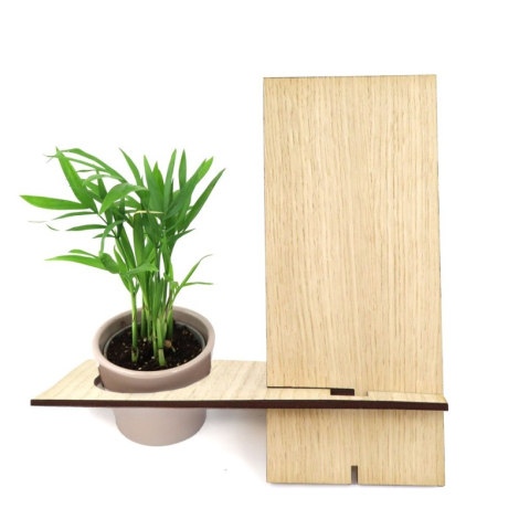 Support téléphone en bois personnalisable avec plante