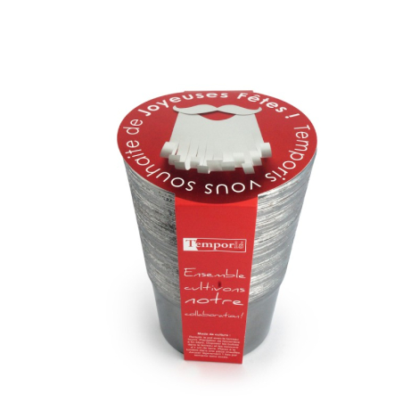 Kit de plantation personnalisable - Bulbes de Noël