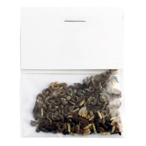 Sachet publicitaire 6 x 8 cm avec cavalier