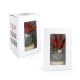 Terrarium sur socle publicitaire Terrarium sur socle publicitaire