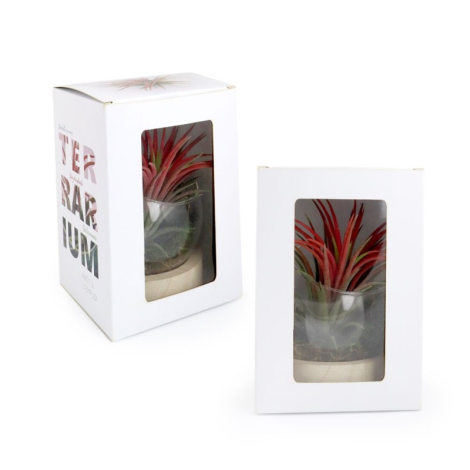 Terrarium sur socle publicitaire