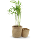 Pots en jute publicitaire avec plante Pots en jute publicitaire avec plante