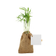 Mini pochon publicitaire avec plant d'arbre Mini pochon publicitaire avec plant d'arbre