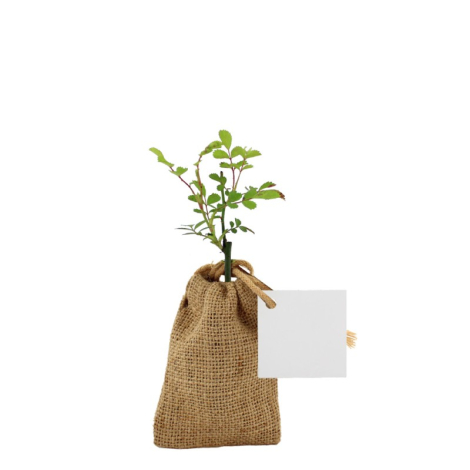 Mini pochon publicitaire avec plant d'arbre