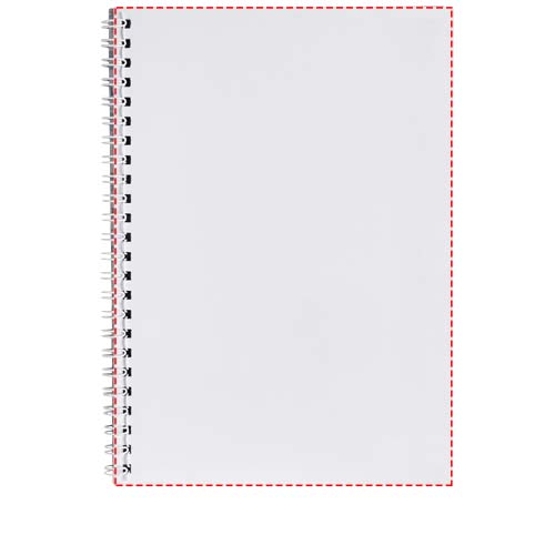 Recto feuilles (portr. reliure à gauche)