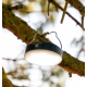 Lampe suspendue à une branche grâce à son support métallique, utilisée comme source d’éclairage dans un environnement naturel.