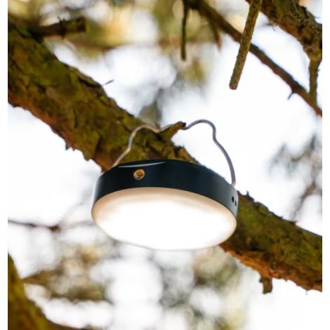 Lampe suspendue à une branche grâce à son support métallique, utilisée comme source d’éclairage dans un environnement naturel.