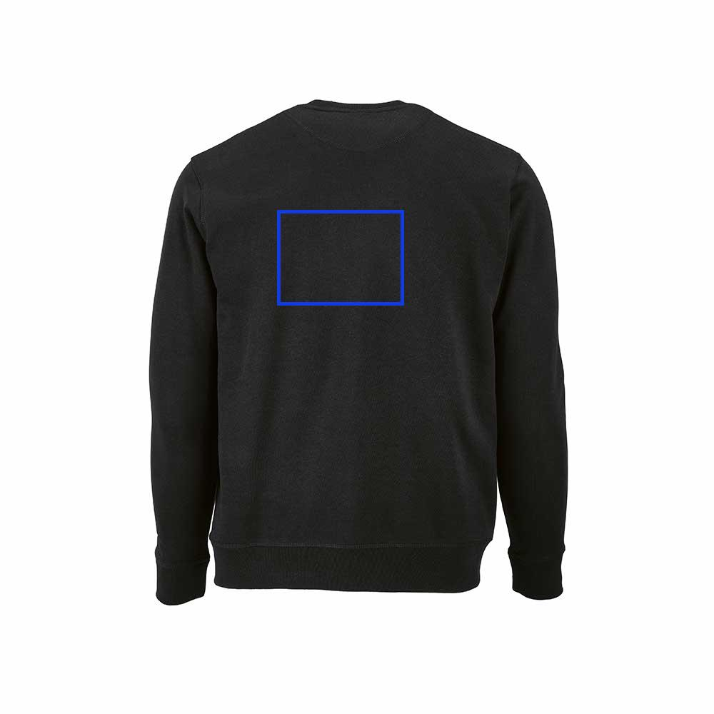 Pulls - Arrière