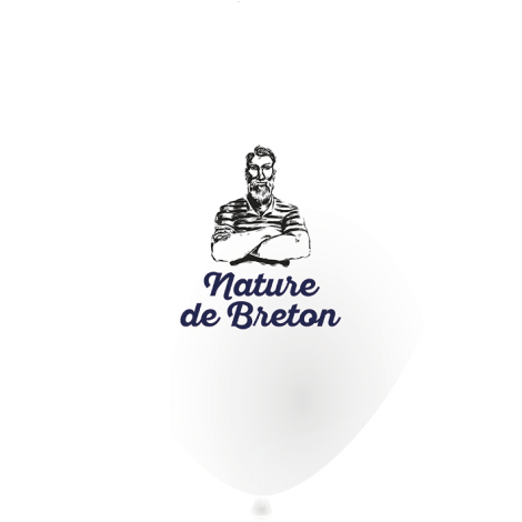 Ballon de baudruche publicitaire 30 cm