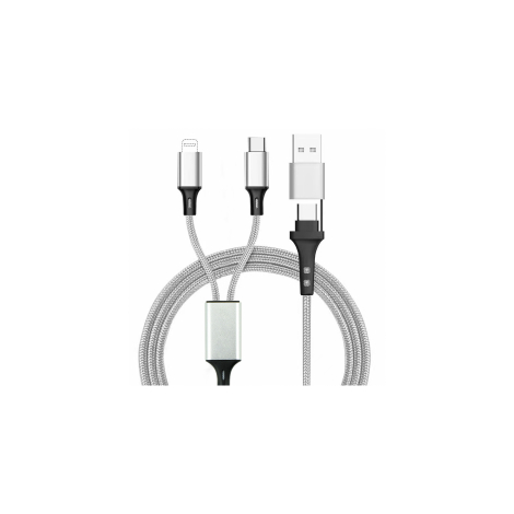 Câble avec ses différentes connectiques.