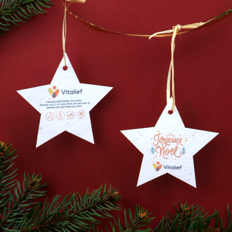 Deux étoiles de Noël en papier ensemencé Vitalief, suspendues par des liens en raphia, avec message « Joyeux Noël » au recto et 