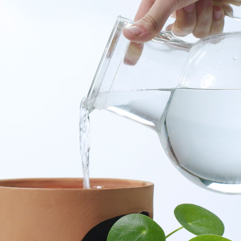 Gros plan sur une main versant de l'eau avec une carafe en verre dans un pot en terre cuite à ouverture latérale, illustrant le 
