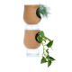Deux pots en terre cuite avec réservoirs d'eau en verre empilés, accueillant une plante au feuillage fin en partie haute et une 