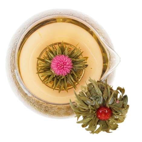 Vue de dessus d'une fleur de thé épanouie au cœur rose dans une tasse en verre remplie d'infusion dorée, avec une seconde fleur 
