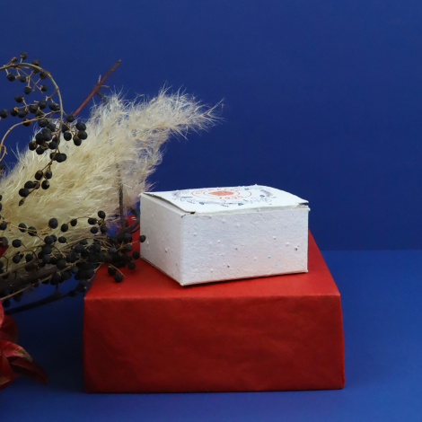 Boîte en papier ensemencé blanc à texture naturelle, présentée sur un socle rouge avec des végétaux séchés sur fond bleu foncé.