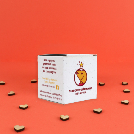 Boîte cube publicitaire en papier ensemencé - 6x6x6 cm