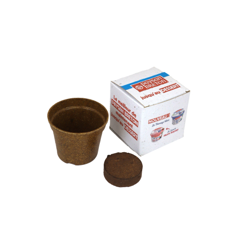 Kit de plantation publicitaire en boîte ensemencée