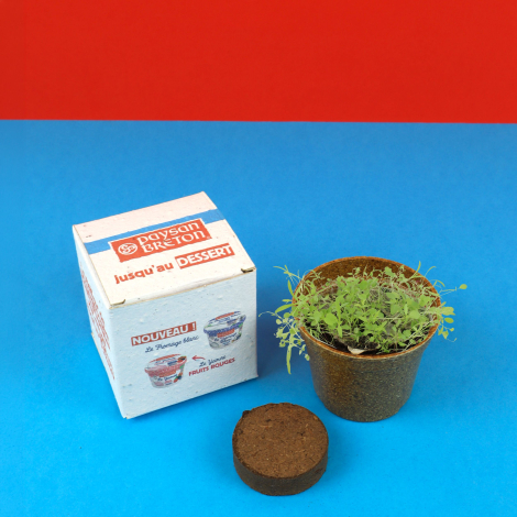 Kit de plantation personnalisé Paysan Breton avec boîte en papier ensemencé, pot biodégradable contenant de jeunes pousses verte