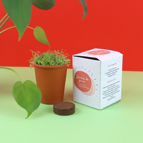 Kit de plantation publicitaire avec pot en terre cuite et boîte ensemencée