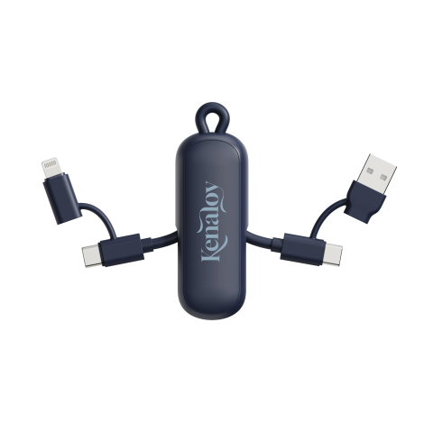 Câble porte-clé personnalisé 4-en-1 100W Dublin