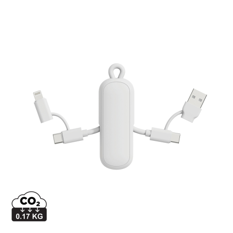Câble porte-clé personnalisé 4-en-1 100W Dublin