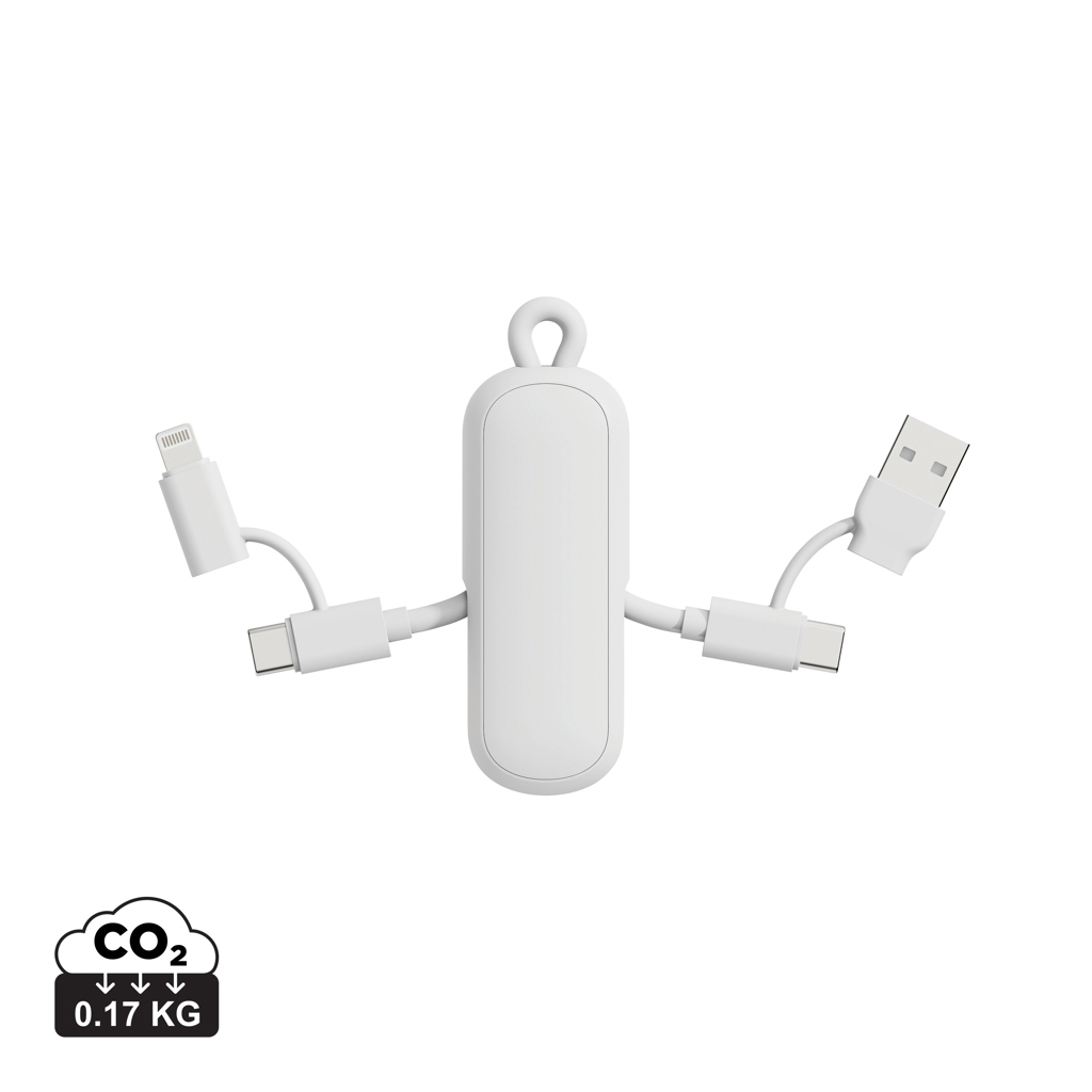 Câble porte-clé personnalisé 4-en-1 100W Dublin Blanc