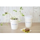 Kit de plantation pot en carton publicitaire