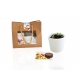 Kit de plantation dans un pochon en kraft personnalisable.