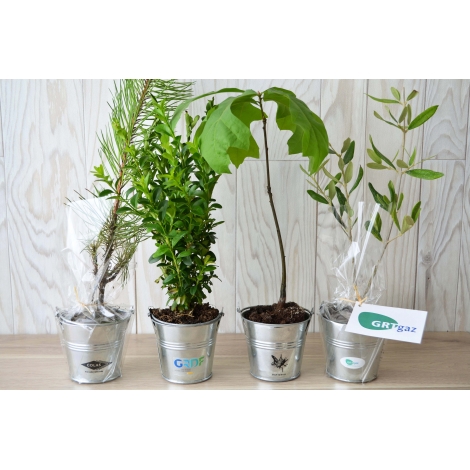 Plant d'arbre en zinc publicitaire Plant d'arbre en zinc publicitaire