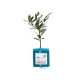 Cube publicitaire avec plant d'arbre