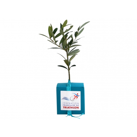 Cube publicitaire avec plant d'arbre