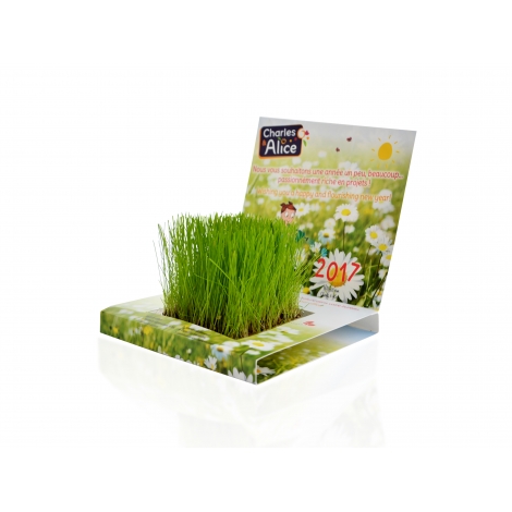 Carte jardin publicitaire