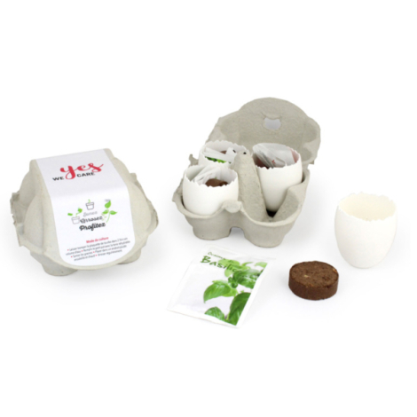 Kit de plantation promotionnel - boite 4 oeufs à graines