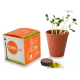 Cube de plantation en terre cuite publicitaire 7 ou 10 cm