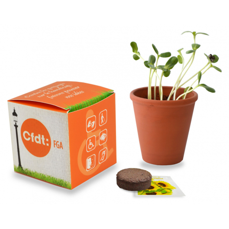 Kit de plantation publicitaire avec graines en pot terre cuite 10 cm