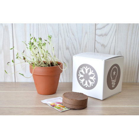 Cube de plantation en terre cuite publicitaire 7 ou 10 cm